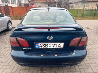 Nissan Primera foto 5