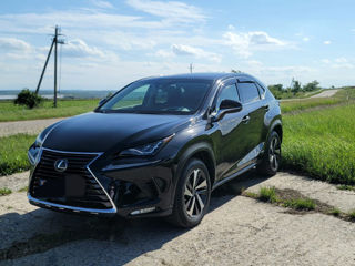 Lexus NX Series foto 1