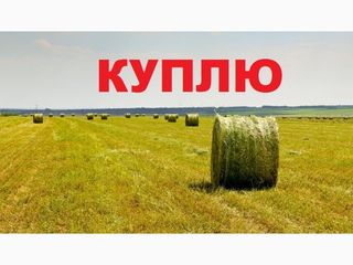 cumparam agricol consolidat linga chisinau 5 ga / купим агро землю возле кишинёва 5 га foto 1