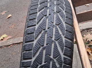 Tigar winter 195/55 r16