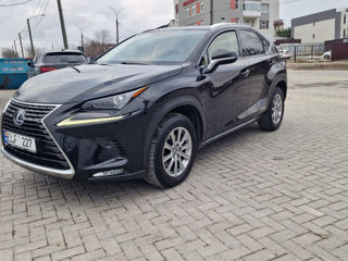 Lexus NX Series