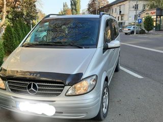 Mercedes Viano