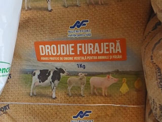 Avem in vinzare drojdie furajeră 9 lei/kg