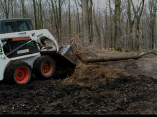 Transfer/cash Servicii bobcat (mini incarcator) caus 1,55 si 1,70 foto 4