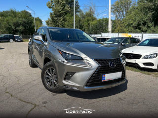 Lexus NX Series