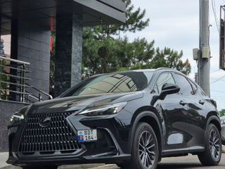 Lexus NX Series