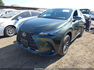 Lexus NX Series foto 3