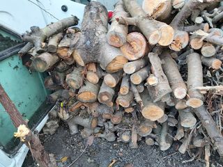 Резаные дрова 1200 лей за всё. foto 2
