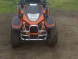 Alte mărci ATV-GOLC Raptor 260 foto 1