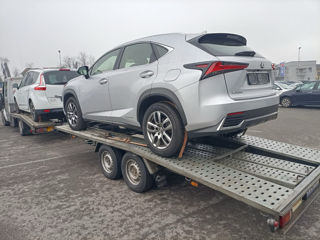 Lexus NX Series foto 6