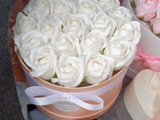 Trandafiri parfumaţi foto 4