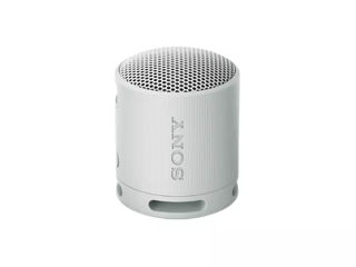 Sony SRS-XB100 Light Grey - всего 699 леев!