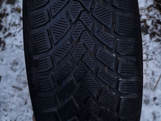 Anvelope de iarna 225/55R17 101H XL