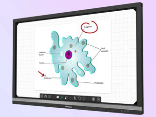 Panou informativ cu touchscreen ViewSonic