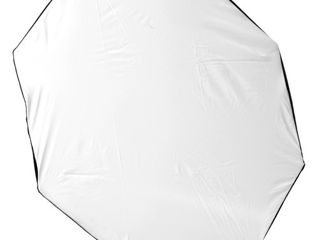 Elinchrom D-LITE RX 4/4 Softbox To Go foto 7