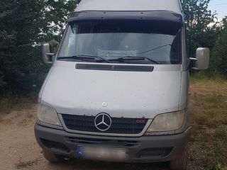 Mercedes Viano foto 1