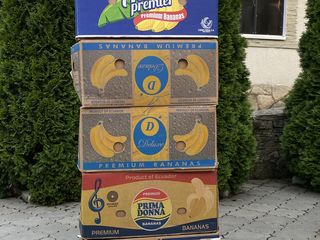 Vând cutii de banane foto 1