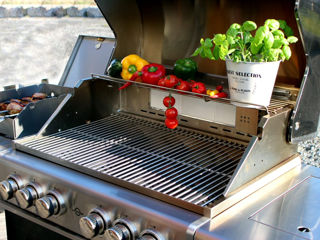 Gratar grill pe gaz german all'grill газовый гриль bbq afumator foto 8