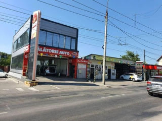 baikalcik