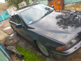 Pese e39 foto 3