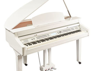 Digital Grand Piano Thomann DP-275 GP WHP. Livrare gratuita în toată Moldova, plata la primire. foto 2