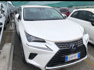 Lexus NX Series