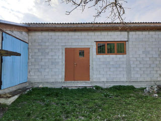 Casa 25 ari satul Pojăreni Pojareni Pojereni foto 4