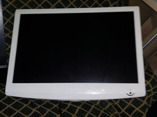 LG 24 Alb