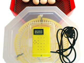 Incubatoare de oua la cele mai mici preturi! La dispozitie modele cu rotire automata foto 3