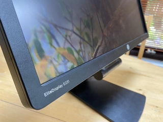 HP EliteDisplay E231 LED display фото 5