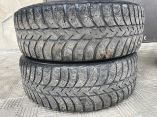 195/65 R15 LASSA. 500 lei