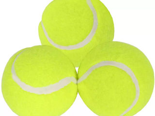 Мячи для большего тениса foto 2