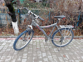 Biciclete foto 2