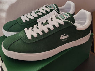 Lacoste original