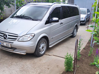 Mercedes Viano