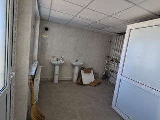 Spre chirie oficii de la 20m2-36m2, etajul 2, direct la traseu, pret 5-6 euro pentru 1m2 foto 5