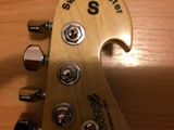 Bill Lawrence SwampKaster Stratocaster (Made in USA) foto 5