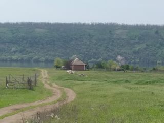 Se vinde lok de casă. foto 3