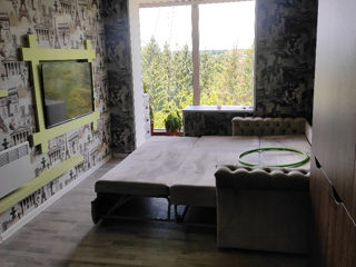 Apartament cu 1 cameră, 40 m², Centru, Dondușeni foto 6