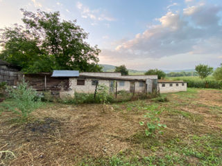 Casa Lozova-Straseni 388 metri patrati foto 9