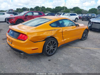 Ford Mustang foto 7