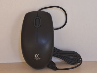 Mouse Logitech B100