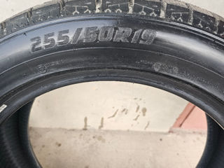 Centara Winter 255/50/R19