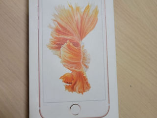 Cutie iPhone 6 S