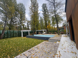 Casa în zona pitorească -  Vadă-lui-Vodă  foto 4