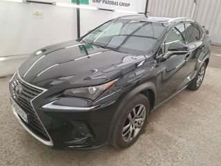 Lexus NX Series