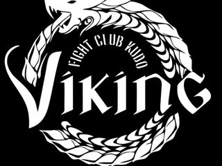 Спортивный клуб viking foto 2