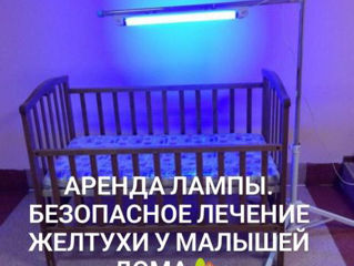 Аренда двойной лампы Philips для лечения желтухи у малышей на дому! Сертификат. Очки! foto 5
