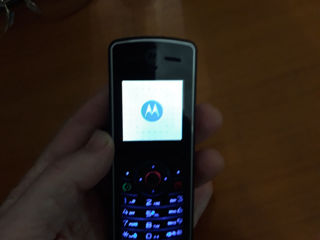 Motorola W180