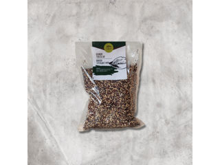 Seminte Quinoa tricolor / Киноа Трехцветная 500gr.